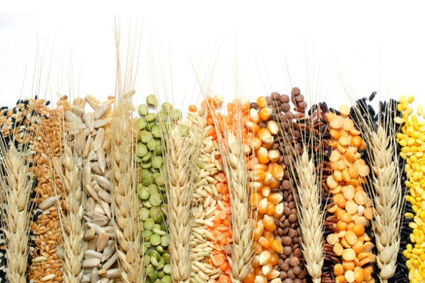 indices-des-prix-des-produits-agricoles-–-annee-2025
