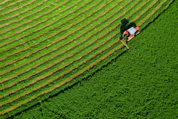 souverainete-alimentaire :-du-nouveau ?