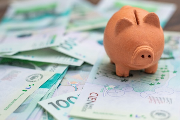 montant-du-smic-et-du-minimum-garanti-au-1er-janvier-2025