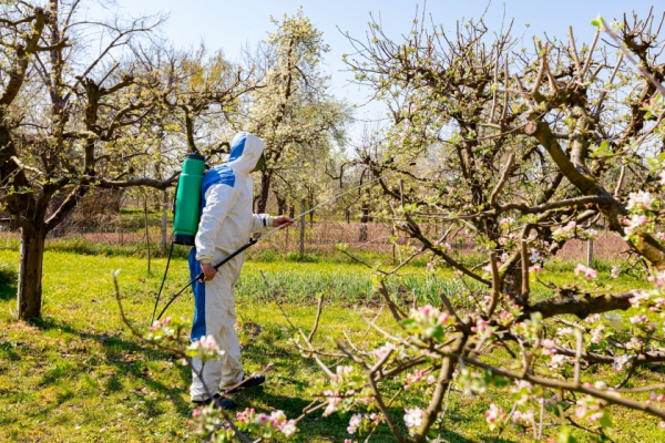 commerce-de-fruits-:-une-nouvelle-limitation-a-connaitre