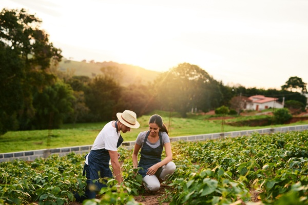ajustement-de-droits-a-paiement-de-base-:-quelques-precisions-pour-les-exploitants-agricoles…