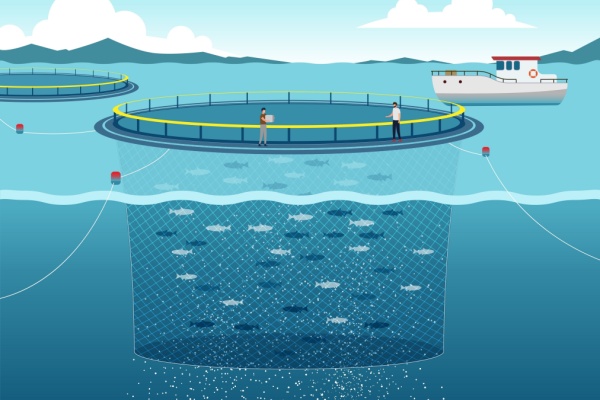 pisciculture-marine-et-concession-d’exploitation-:-des-criteres-a-connaitre