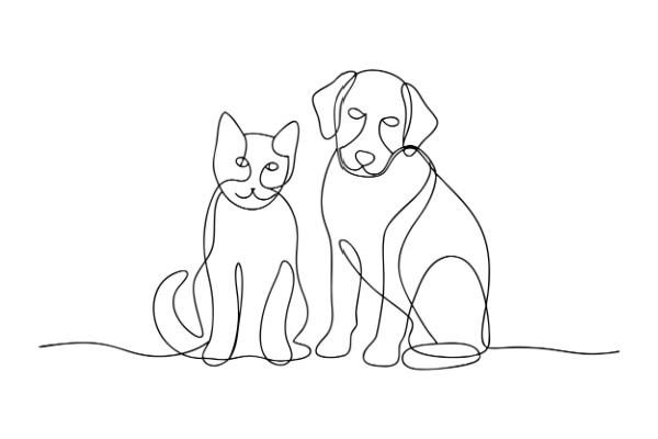 activites-liees-aux-animaux-de-compagnie-:-une-reglementation-partiellement-decalee…