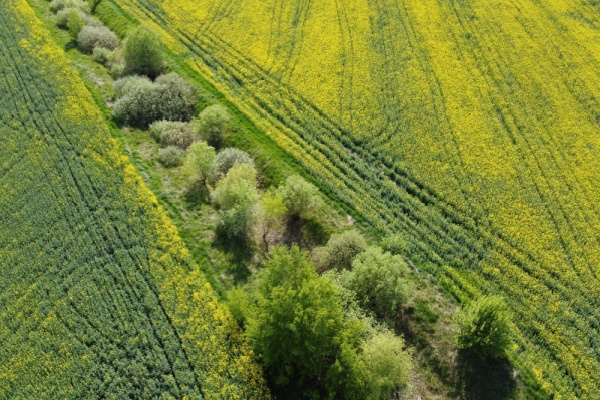 valeur-venale-moyenne-des-terres-labourables-et-des-prairies-naturelles-en-2024-pour-les-terres-agricoles-louees