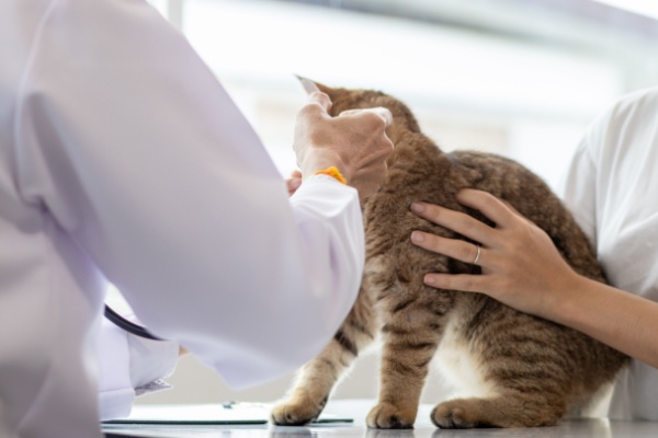 tableau-des-cotisations-sociales-dues-par-les-veterinaires-–-annee-2026