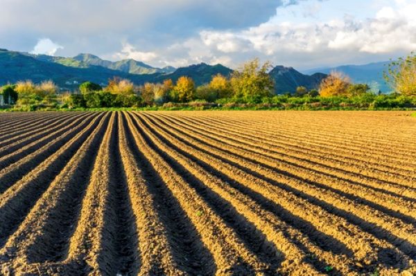 valeur-venale-moyenne-des-terres-labourables-et-des-prairies-naturelles-en-2025-pour-les-terres-agricoles-d’au-moins-70-ares,-libres-a-la-vente