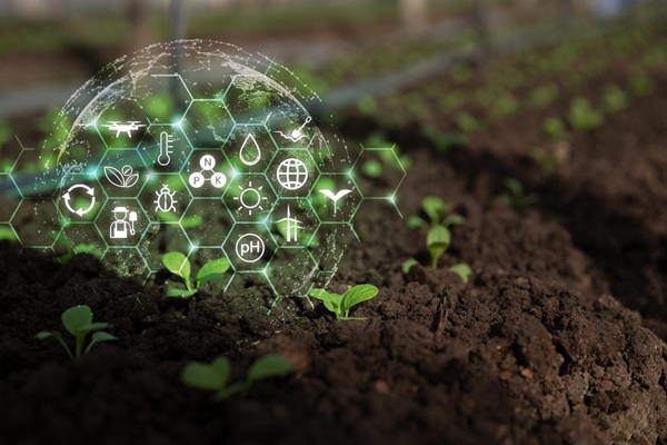 agriculture-:-qui-pilote-la-strategie-nationale-d’installation-et-de-transmission-?
